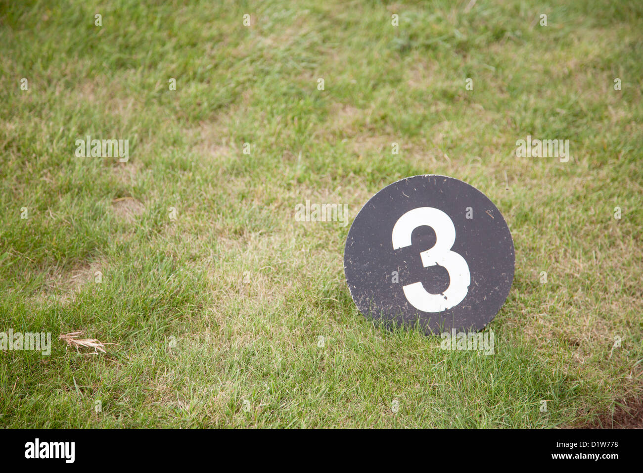 Numero 3 tre sul prato verde Foto Stock