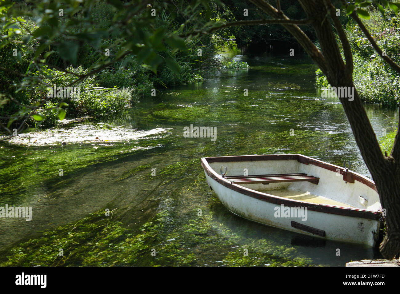 Il fiume Itchen a Shawford Winchester Hampshire REGNO UNITO Foto Stock