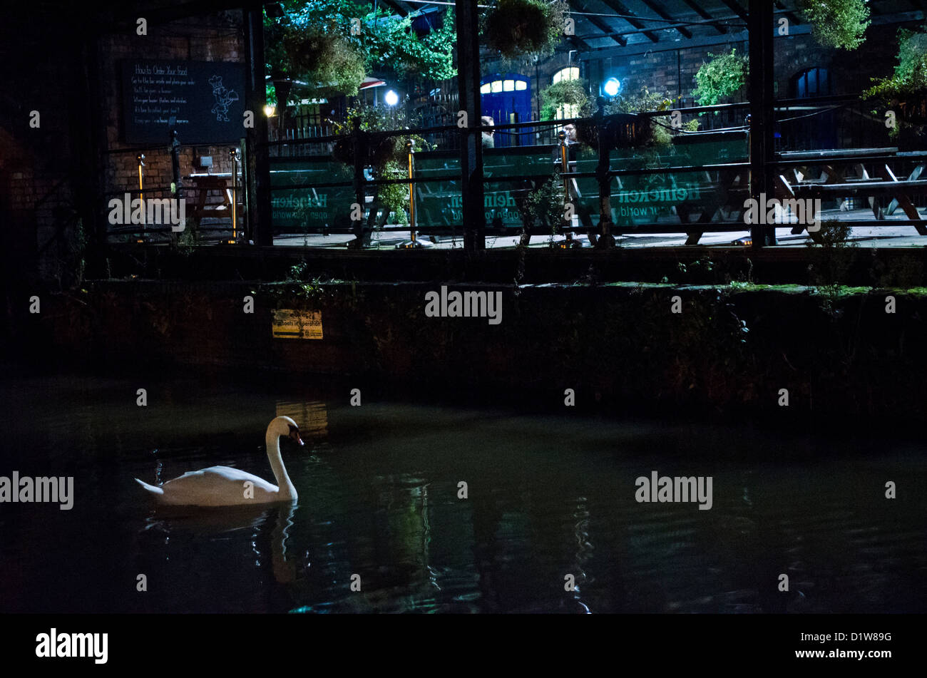 Cigno in nottingham canal Foto Stock