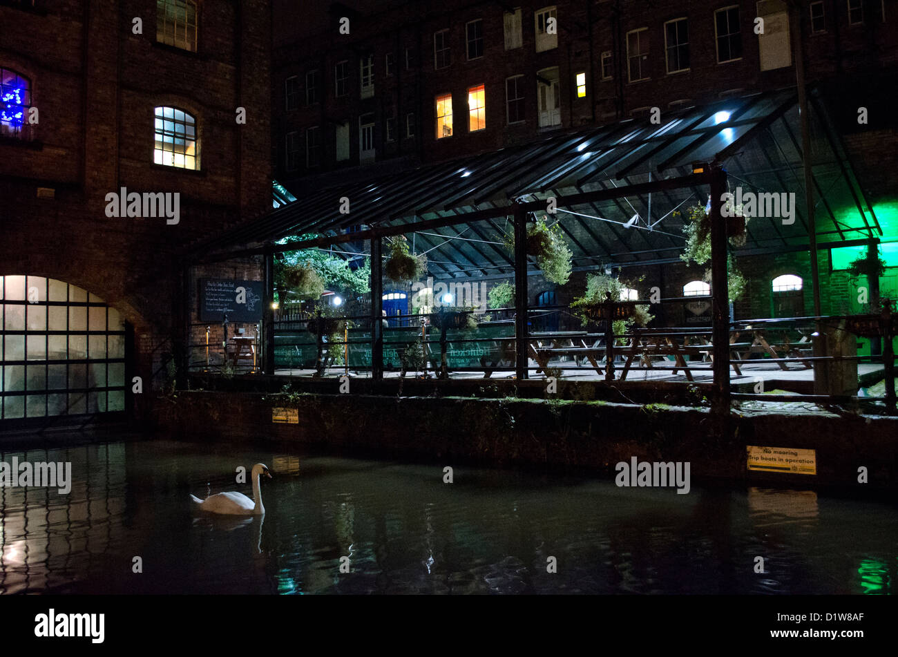 Lonely cigno in Nottingham canal Foto Stock