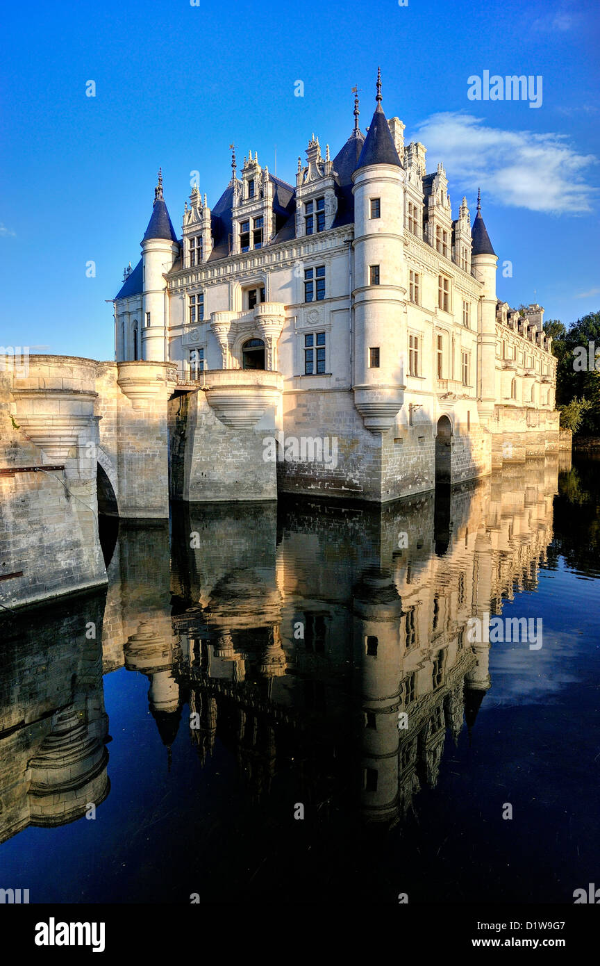 Chateau de Chenonceau nella Valle della Loira Foto Stock