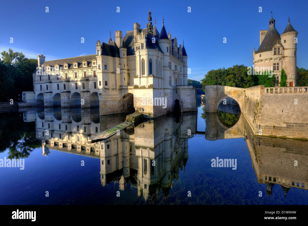 Chateau de Chenonceau nella Valle della Loira Foto Stock