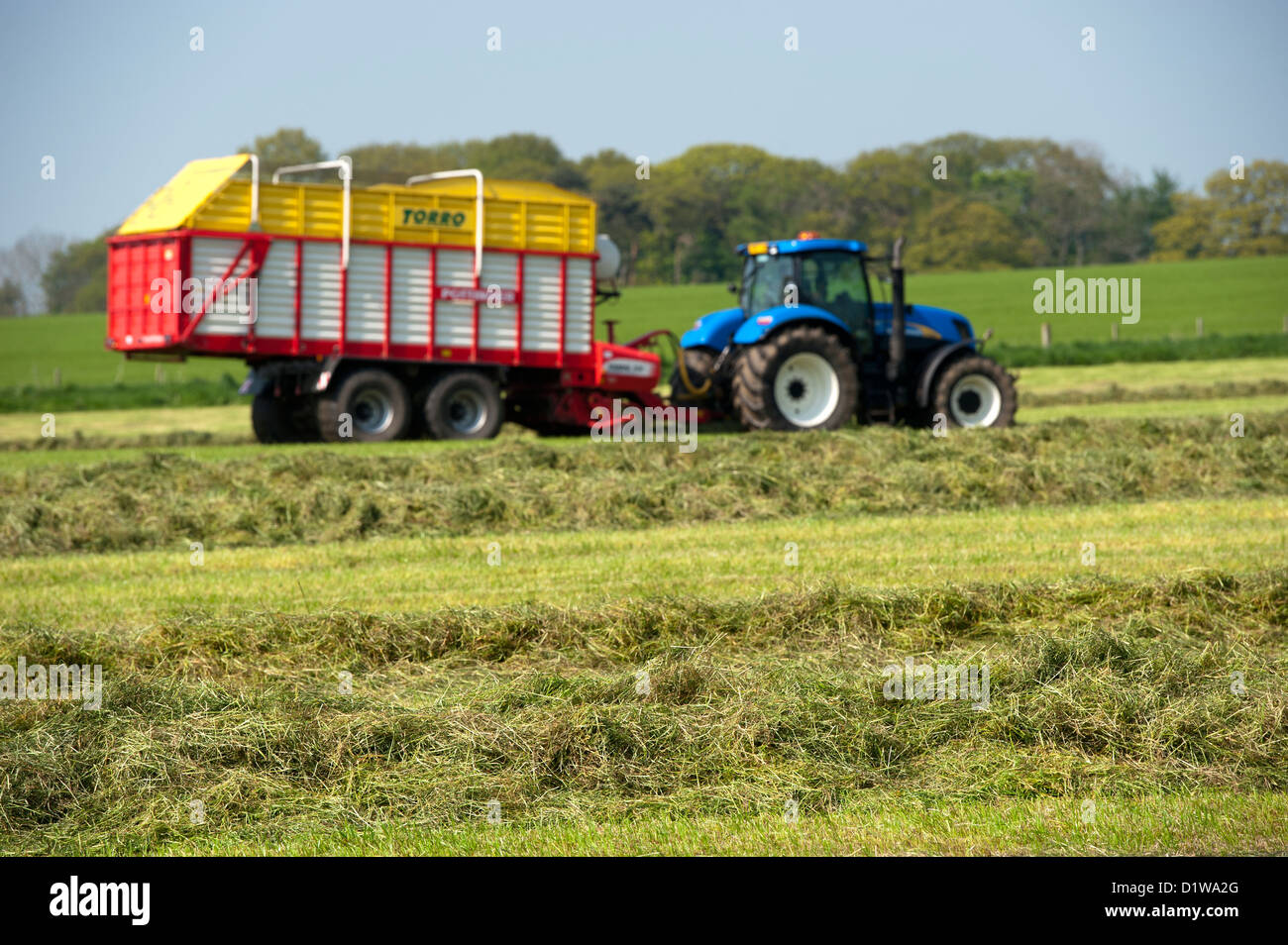 Il prelievo di erba di prato utilizzando un Pottinger rimorchio per il foraggio e trattore New Holland. Northumberland, Regno Unito Foto Stock