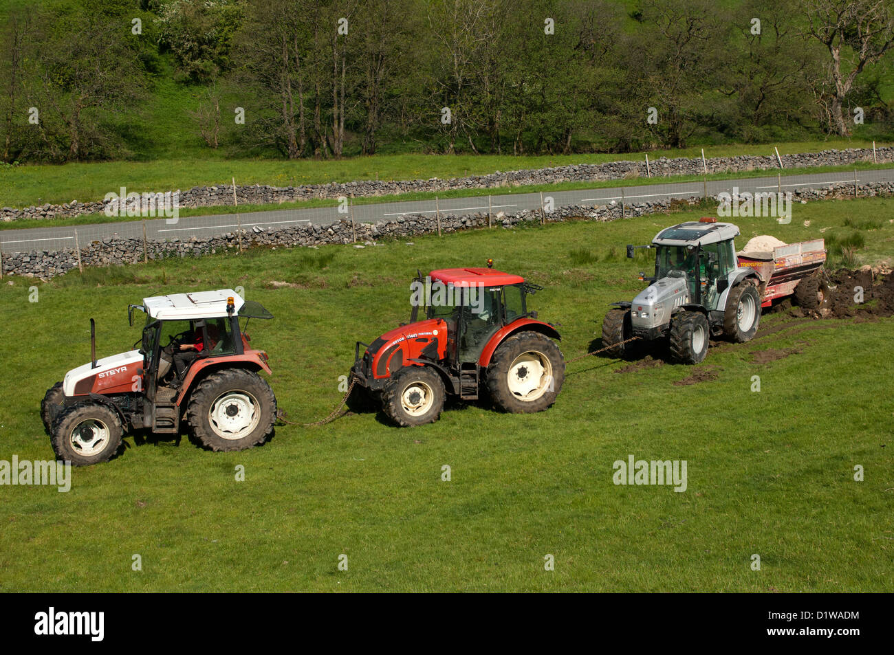 Trattori collegati insieme tirando fuori un trattore e limespreader bloccato in campo. Cumbria, Regno Unito Foto Stock