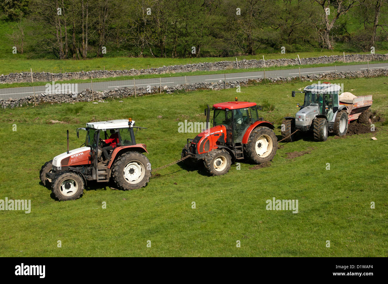 Trattori collegati insieme tirando fuori un trattore e limespreader bloccato in campo. Cumbria, Regno Unito Foto Stock