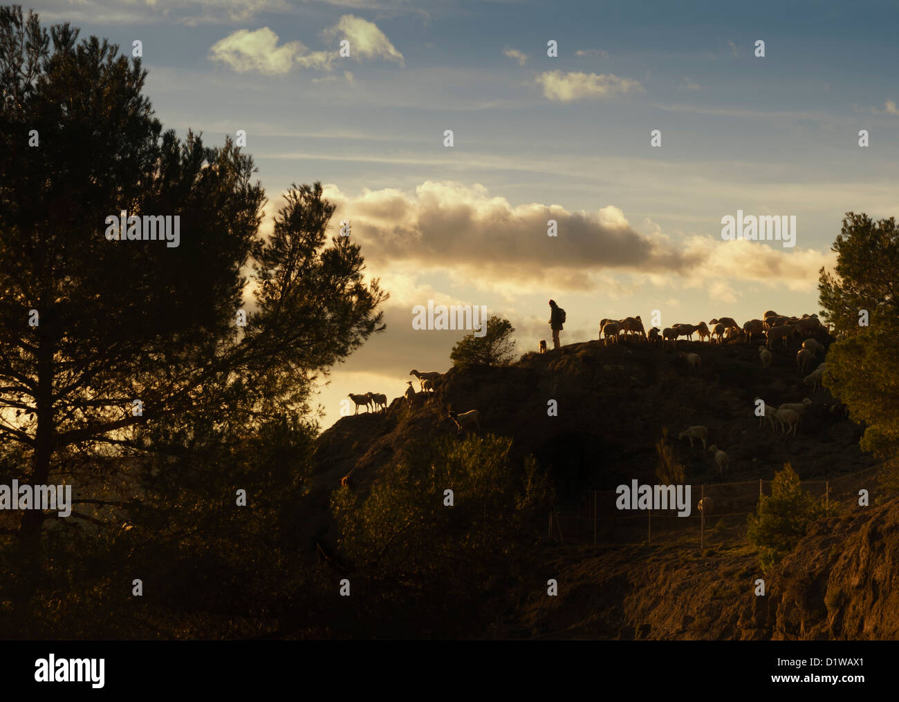 Spagna, Andalusia - un pastore sulla cresta della montagna alta sopra El Chorro dam, nella Sierra del Almorchón. Foto Stock