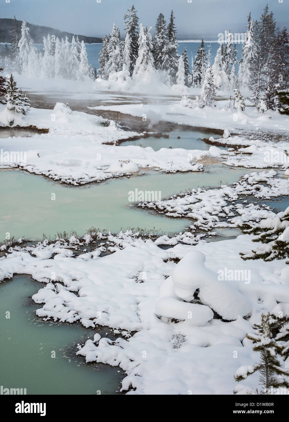 Piscina termale vicino a West Thumb, il Parco Nazionale di Yellowstone Foto Stock