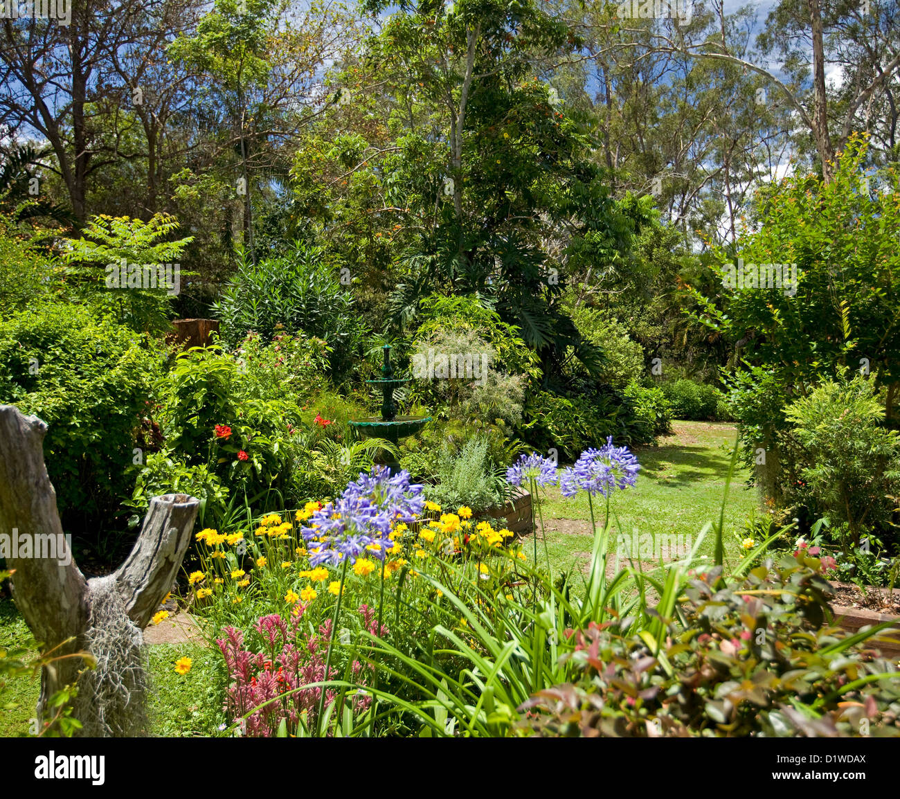 Parco giardino di fiori colorati e arbusti intorno a prato e circondato da alberi Foto Stock