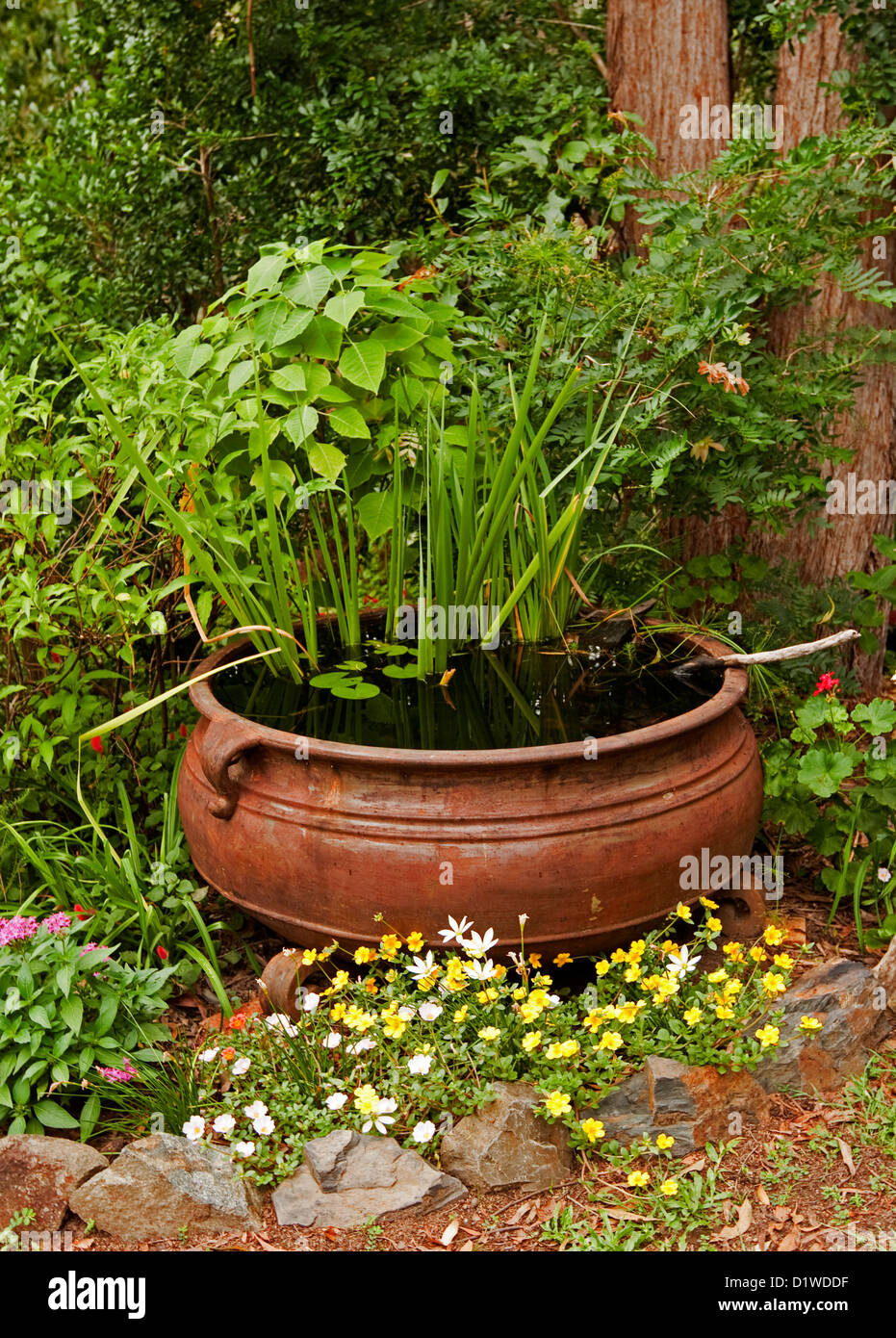 Grande calderone arrugginito - pesce stagno / giardino acqua caratteristica con piante acquatiche e circondato da fiori colorati e arbusti Foto Stock