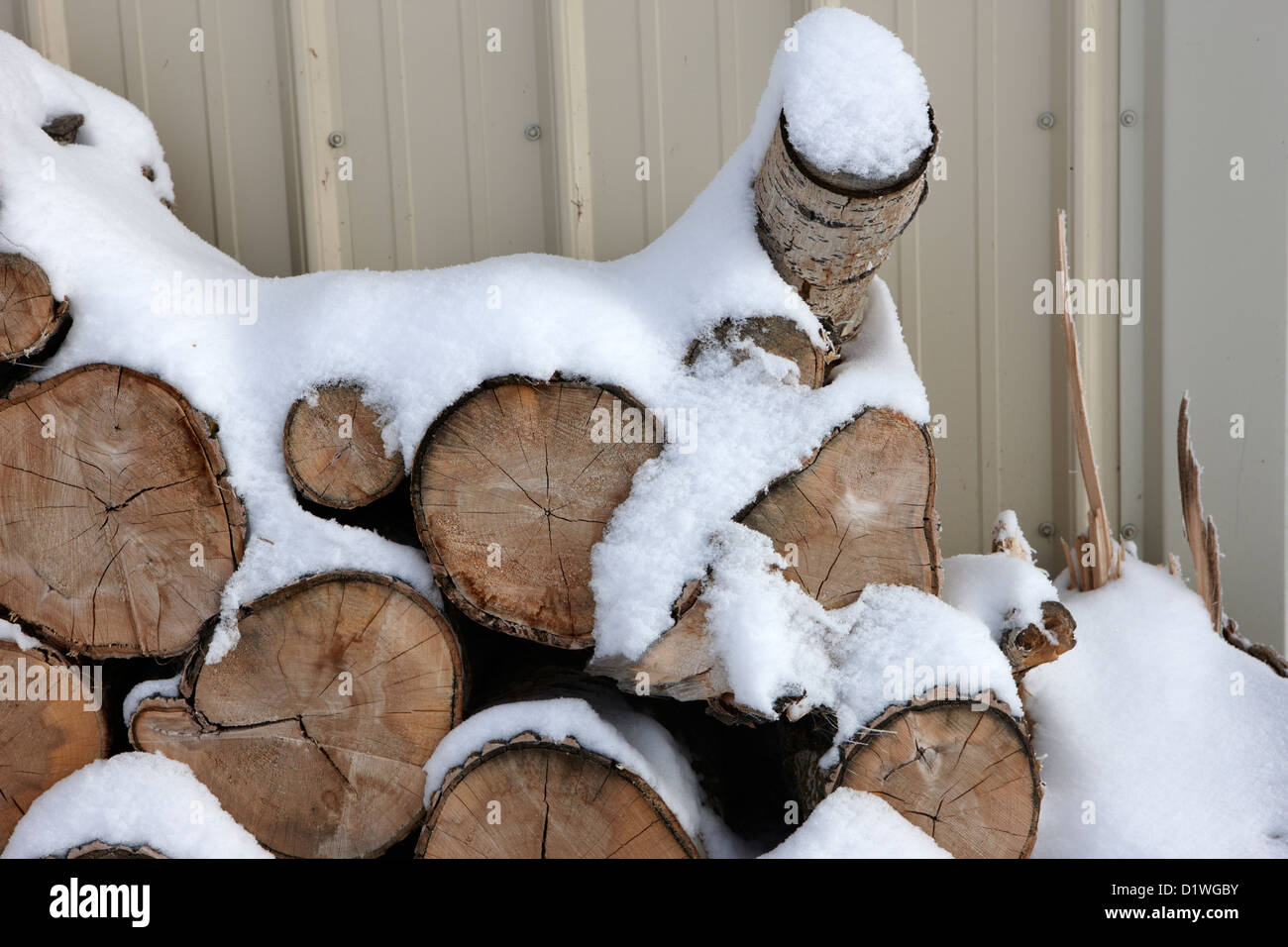 Pila di tronchi coperti di neve dimenticare in Saskatchewan in Canada Foto Stock