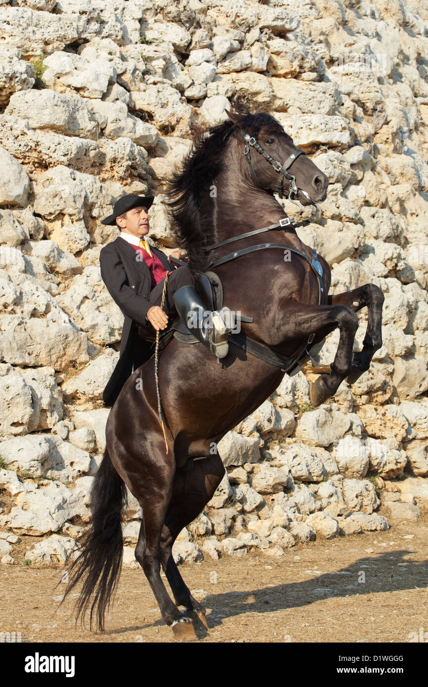 Cavallo di menorca Spagna tradizione festival in Europa Foto Stock