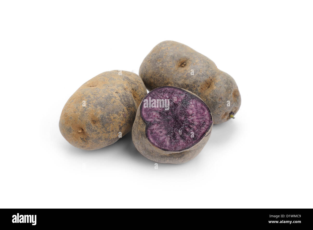 Patata blu, varietà porpora maestà Foto Stock