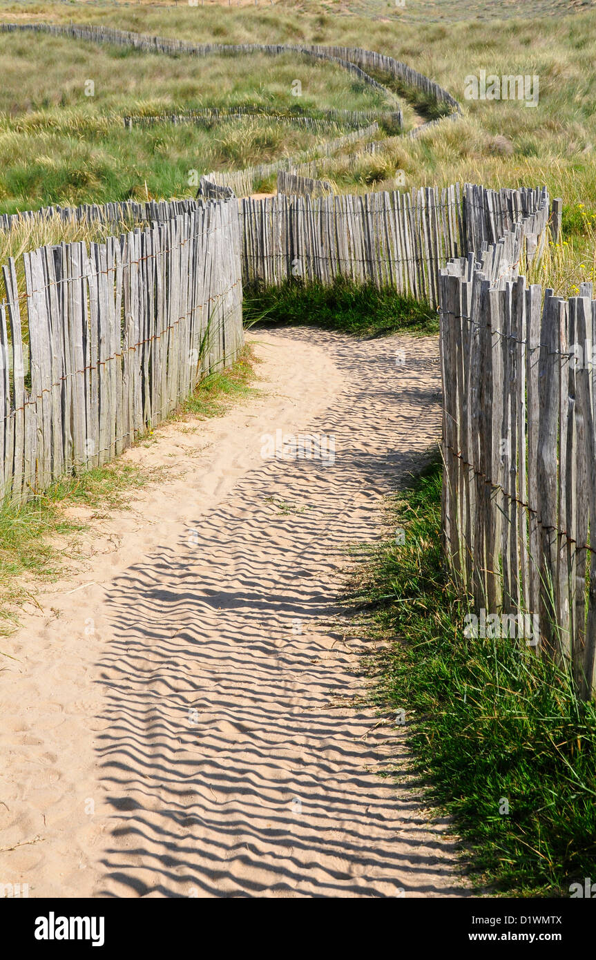 Percorso di sabbia nelle dune con legno di barriera sulla costa selvaggia della penisola di Quiberon nel dipartimento di Morbihan, in Bretagna Foto Stock