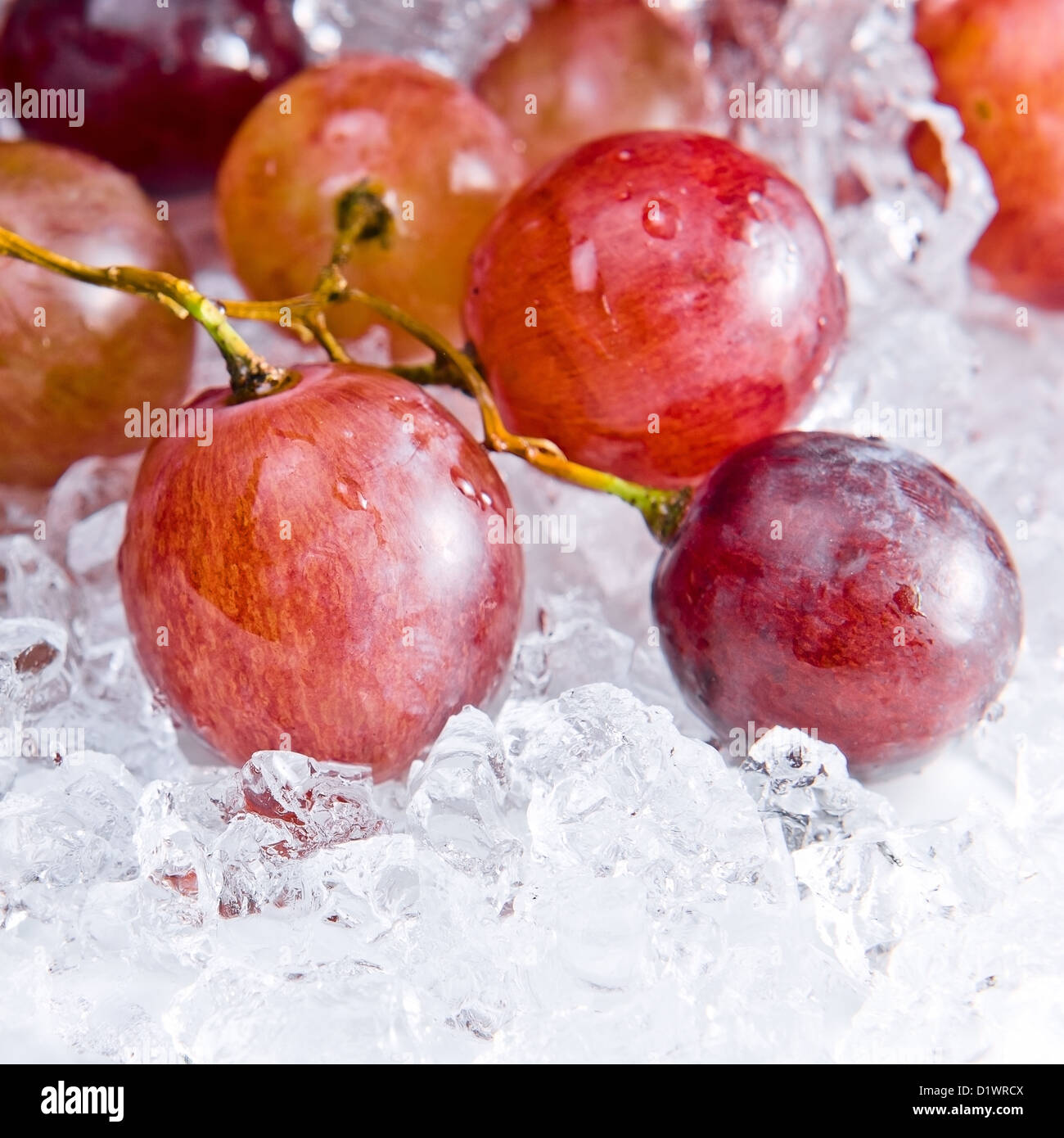 Mature uve rosse su una lastra di ghiaccio Foto Stock