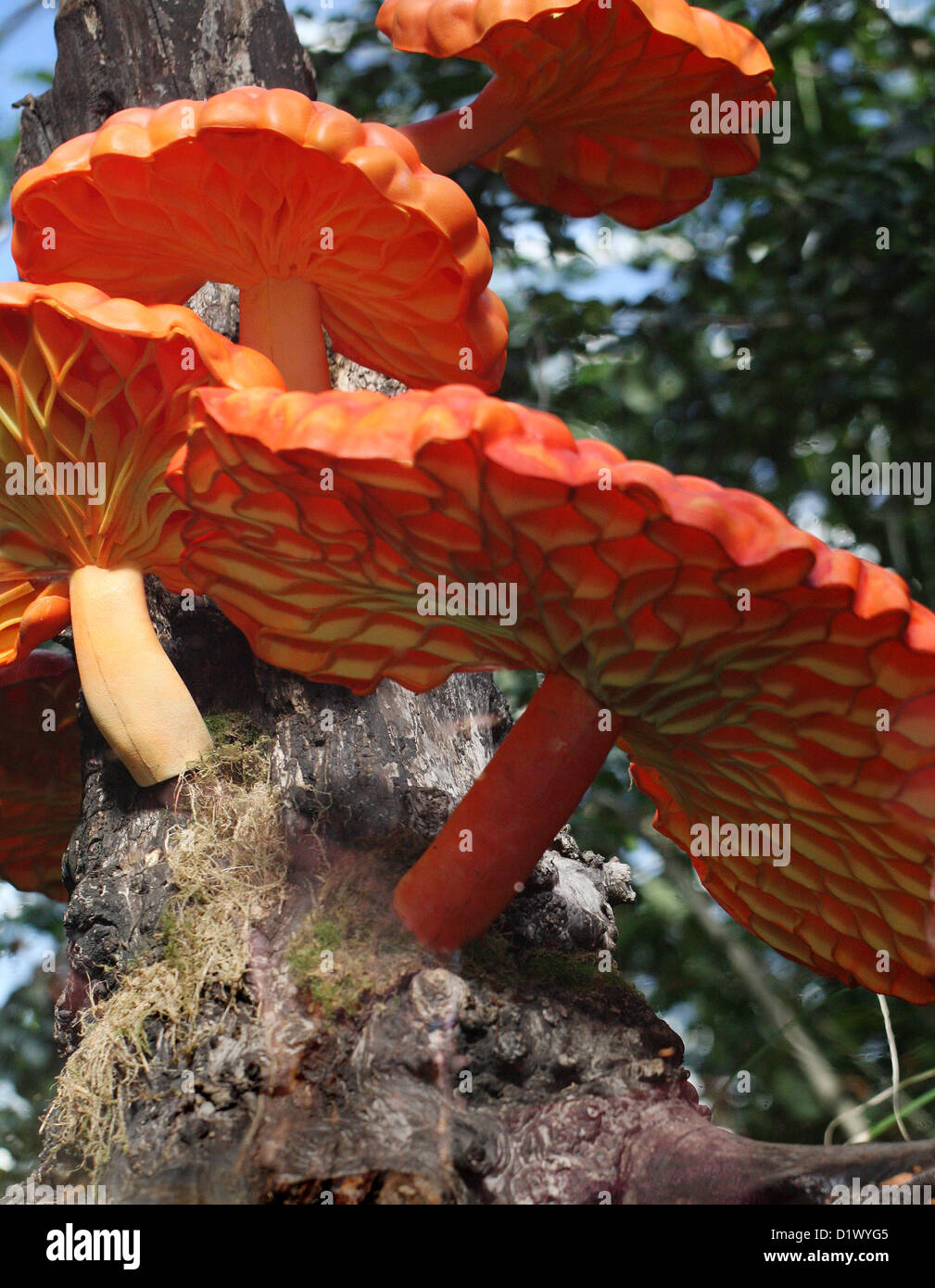 Gigante staffa arancione funghi sculture di Emma Garofalo a Kew Gardens 2012 Foto Stock