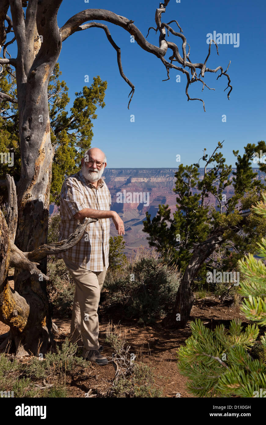Un turista britannico permanente sulla sommità del Grand Canyon in Arizona USA Foto Stock