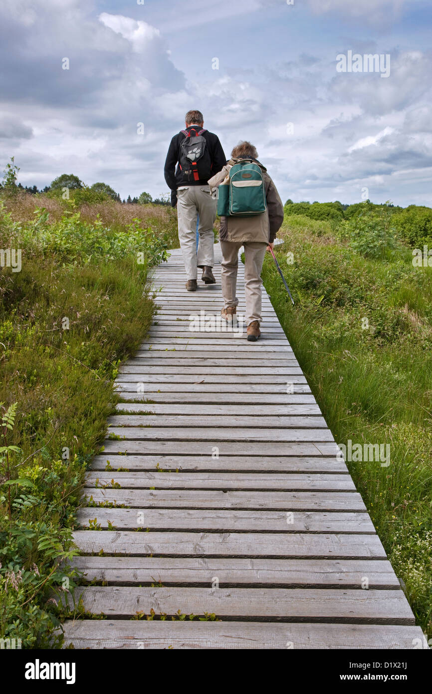 Walkers sulla passerella di legno nella brughiera a Hautes Fagnes / Hautes Fagnes riserva naturale nelle Ardenne belghe, Belgio Foto Stock