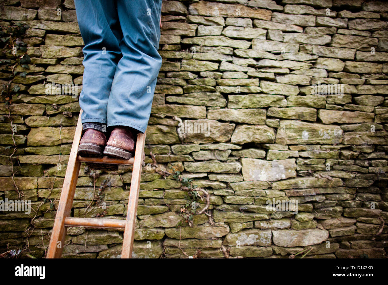 Muratori al lavoro costruendo un cotswold muro a secco Foto Stock