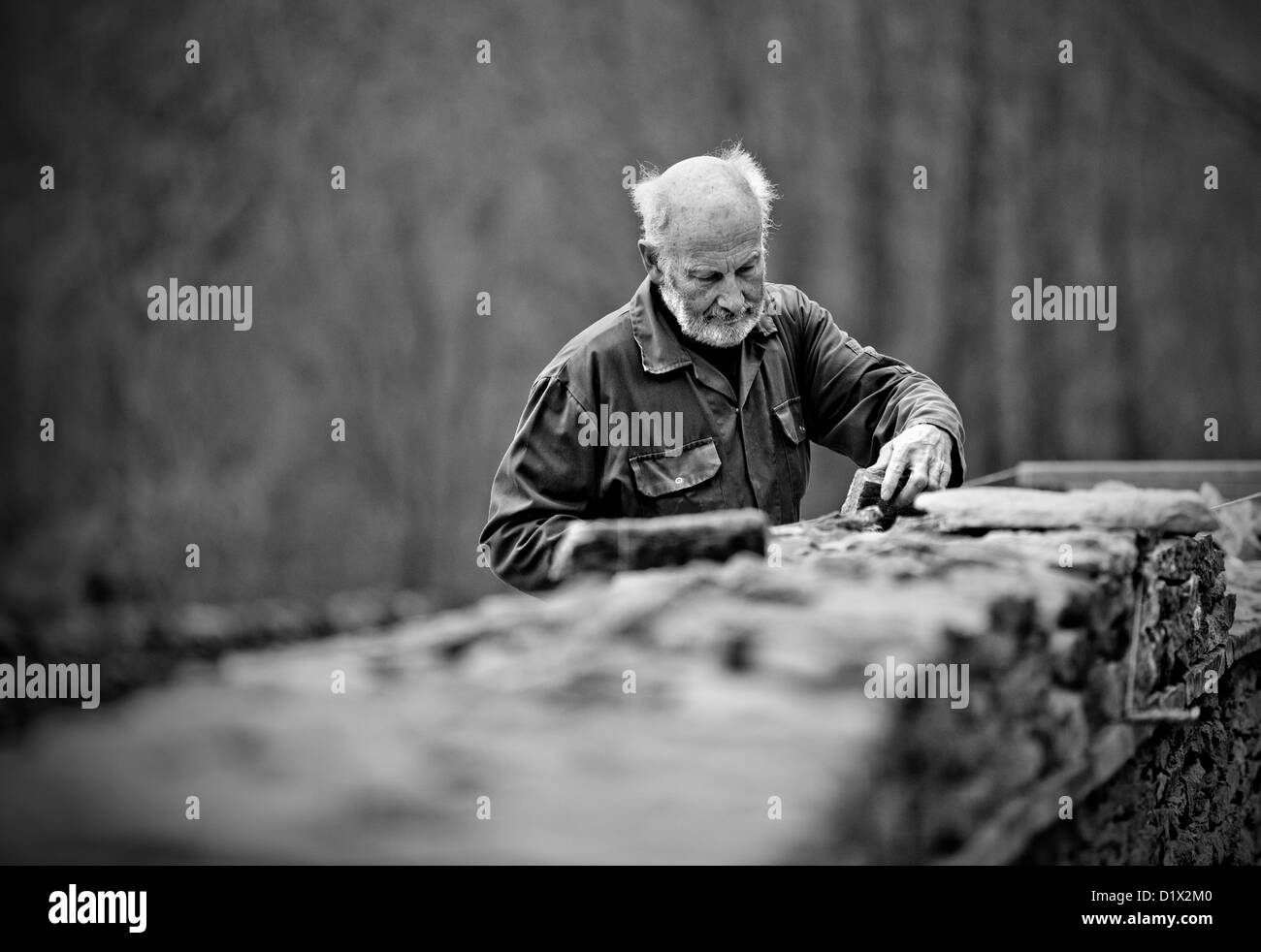 Muratori al lavoro costruendo un cotswold muro a secco Foto Stock