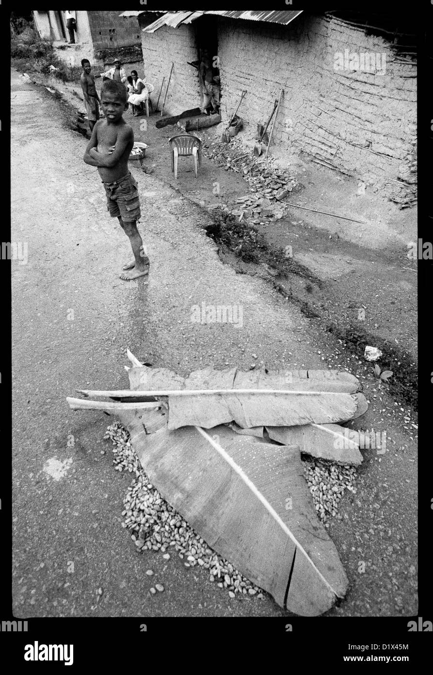 Il cacao a sinistra sulla strada a secco è coperto con foglie, al fine di proteggerla dalla pioggia. Foto Stock