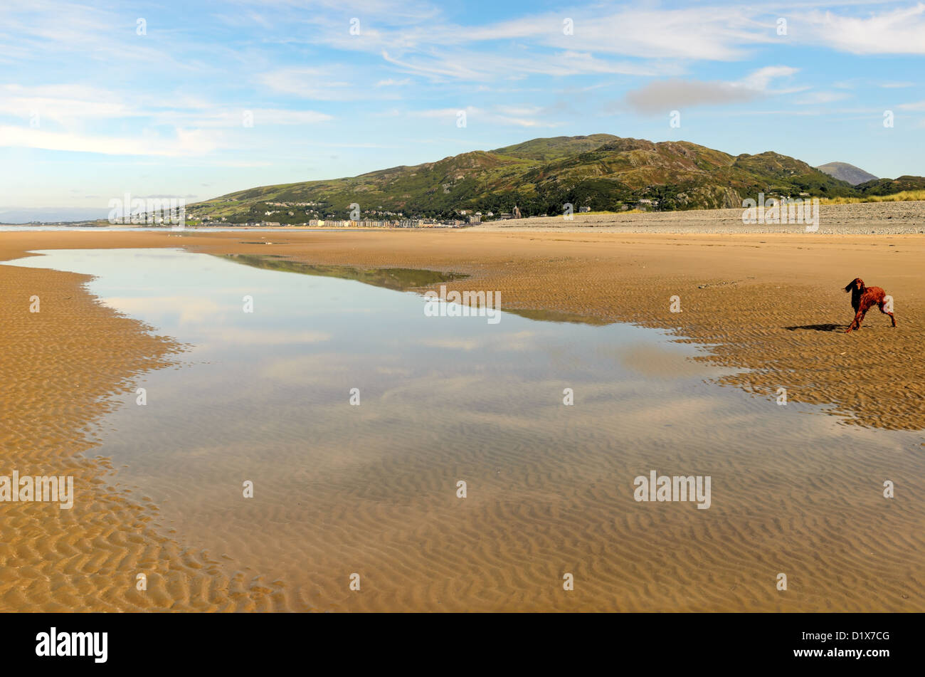 Spiaggia Fairbourne guardando a nord verso Barmouth in Gwynedd in Galles. Foto Stock