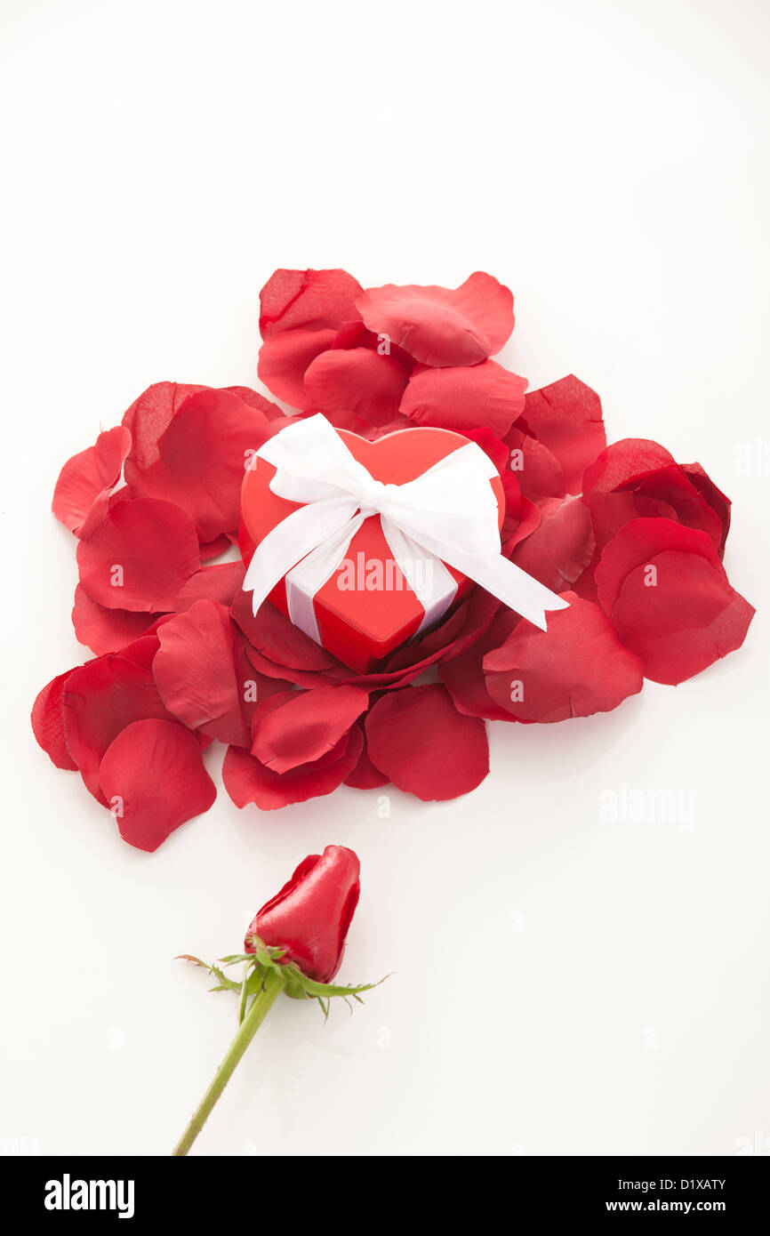 Il giorno di San Valentino regalo in riquadro rosso con petali di rosa isolato su bianco Foto Stock