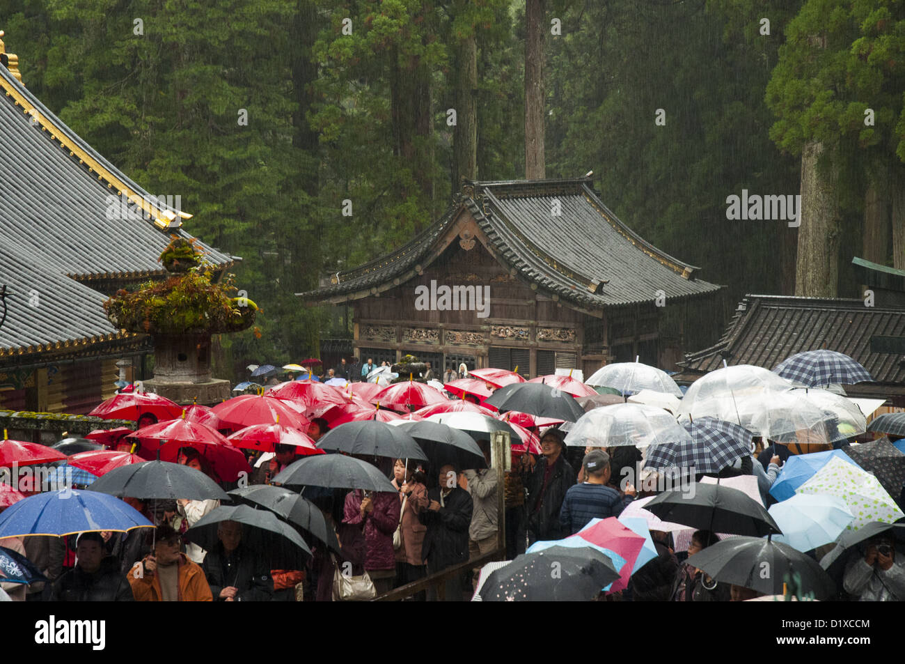 Una foresta di ombrelli in un giorno di pioggia al Santuario Toshogu, Nikko, Giappone Foto Stock