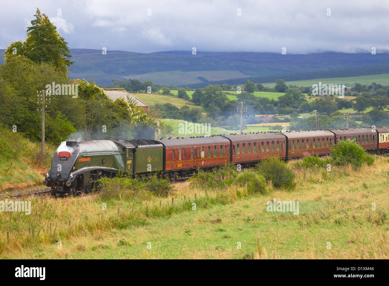 Treno a vapore in movimento attraverso la campagna estiva arrivino a Carlisle Railway. Foto Stock