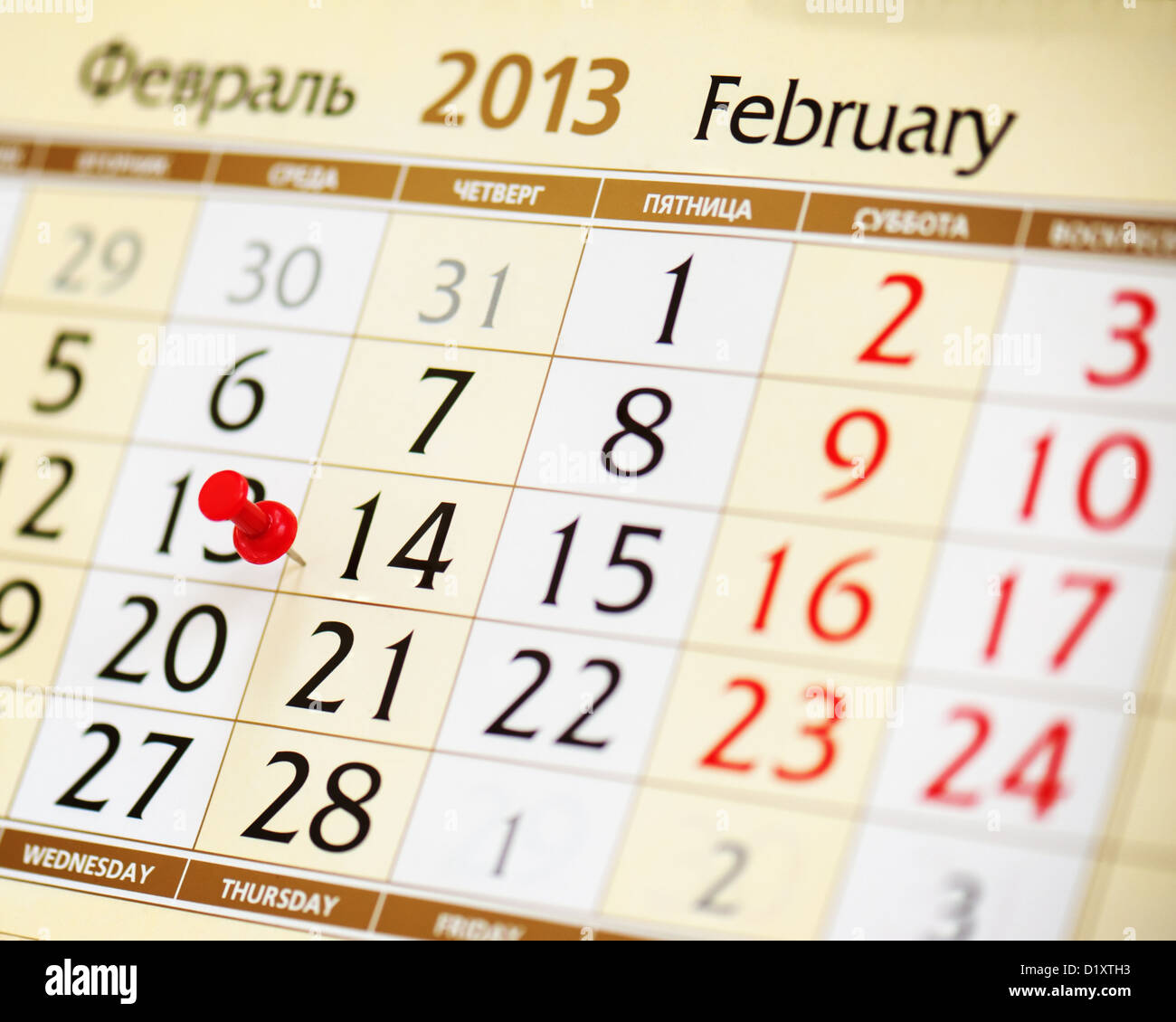 Puntina rossa close-up il 14 febbraio 2013 Foto Stock