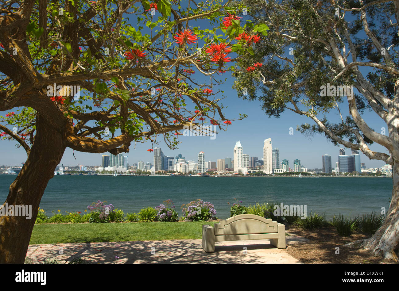 Il centro di Porto dello skyline della città da BAY VIEW PARK SAN DIEGO CALIFORNIA USA Foto Stock