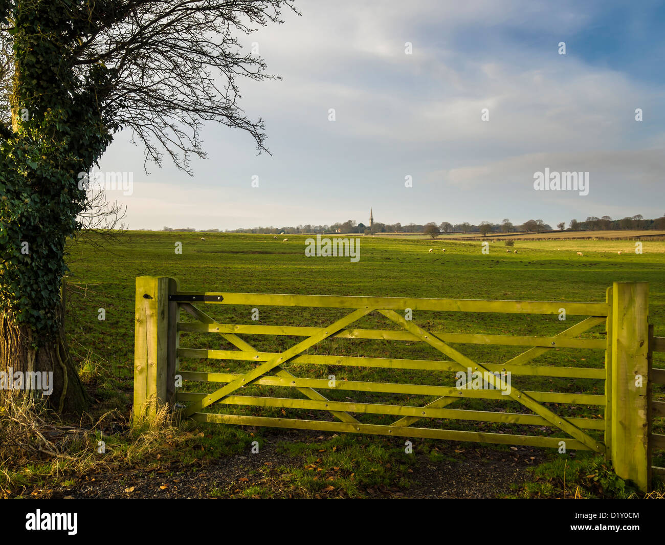 Il campo gateway, a sud di Dalton, East Yorkshire, Inghilterra Foto Stock