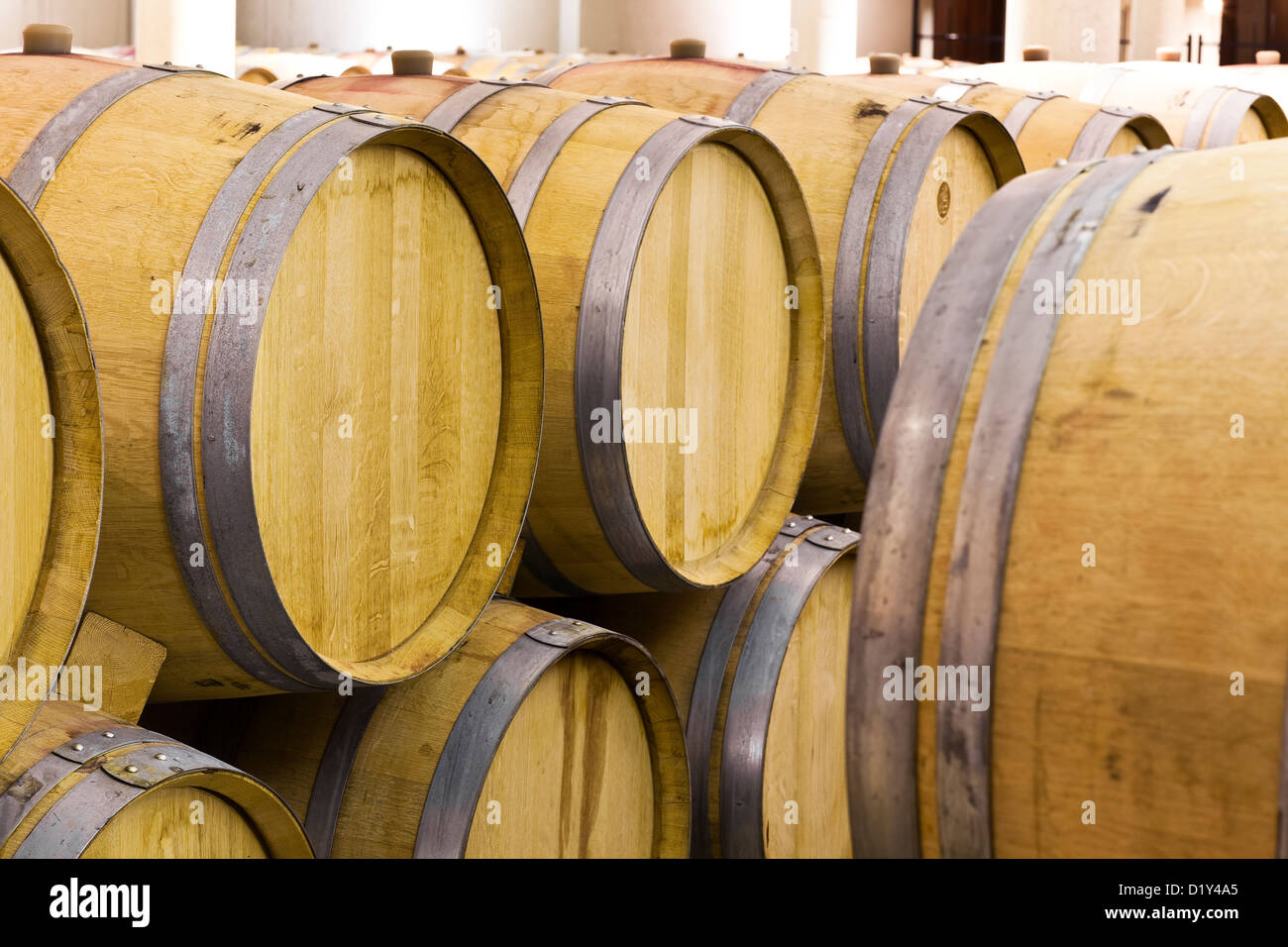 Botti da vino in cantina. Foto Stock