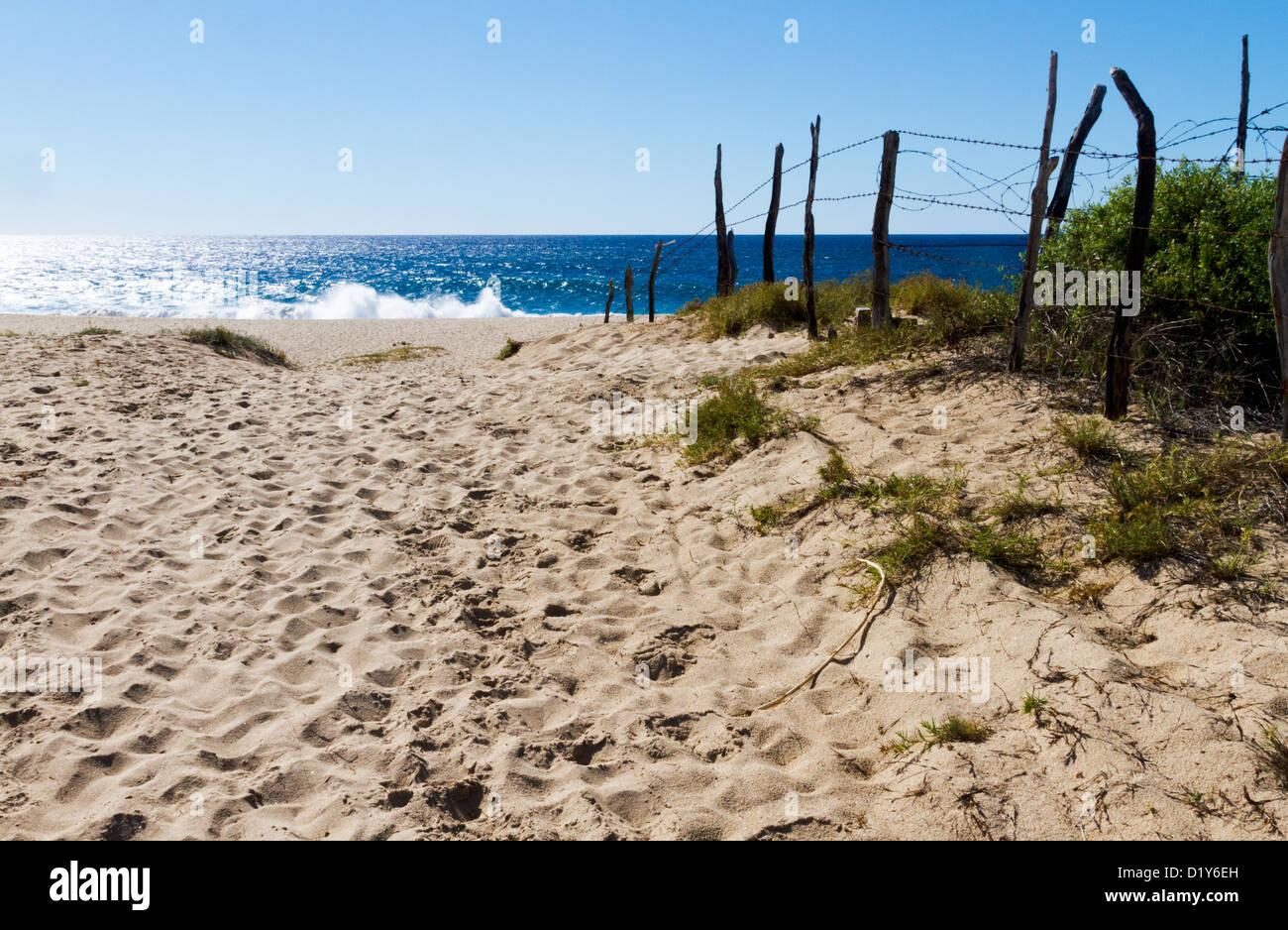 Un sentiero conduce ad una spiaggia appartata vicino a Todos Santos, Baja, Messico Foto Stock