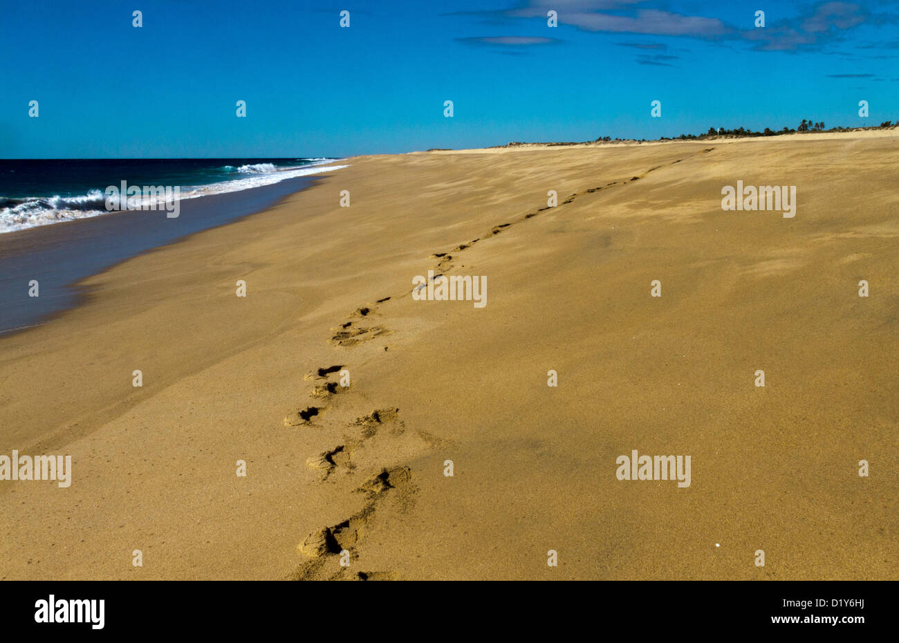 Orme nella sabbia in una spiaggia appartata vicino a Todos Santos, Baja, Messico Foto Stock