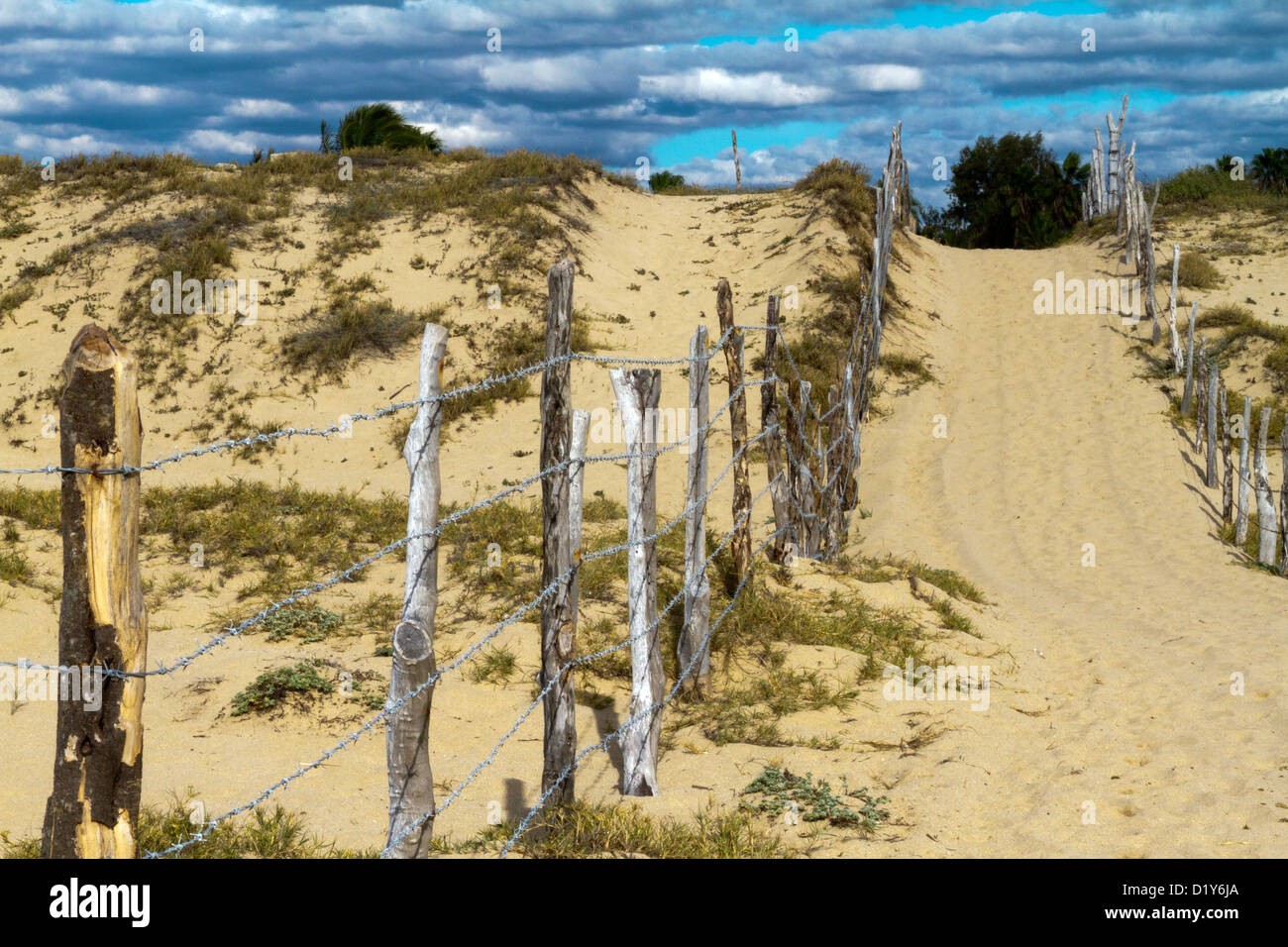 Un percorso viene eseguito da una spiaggia vicino a Todos Santos, Baja, Messico Foto Stock
