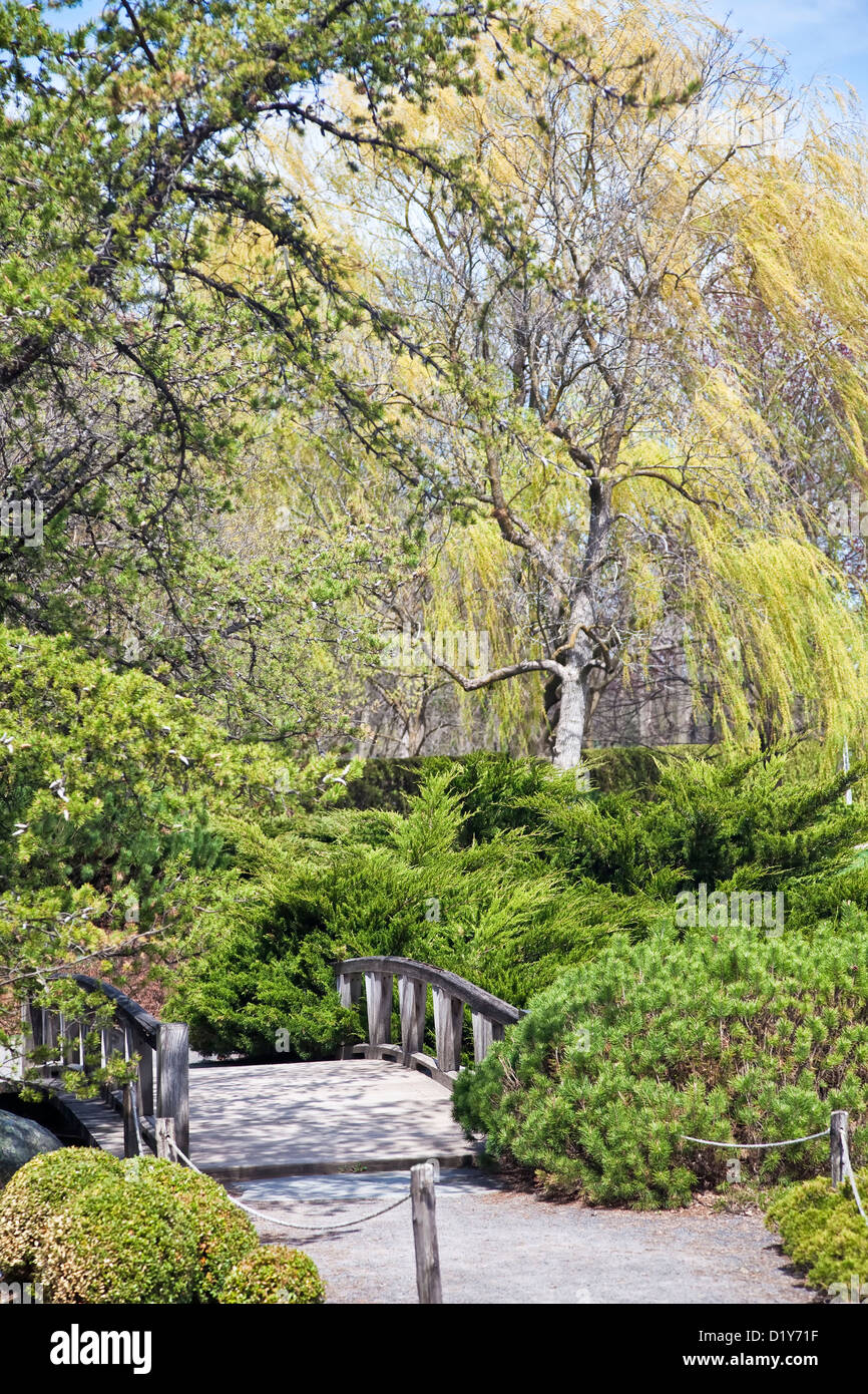 Vista la molla di foglie e fiori nel Giardino botanico di Montreal a Montreal, Quebec, Canada. Foto Stock