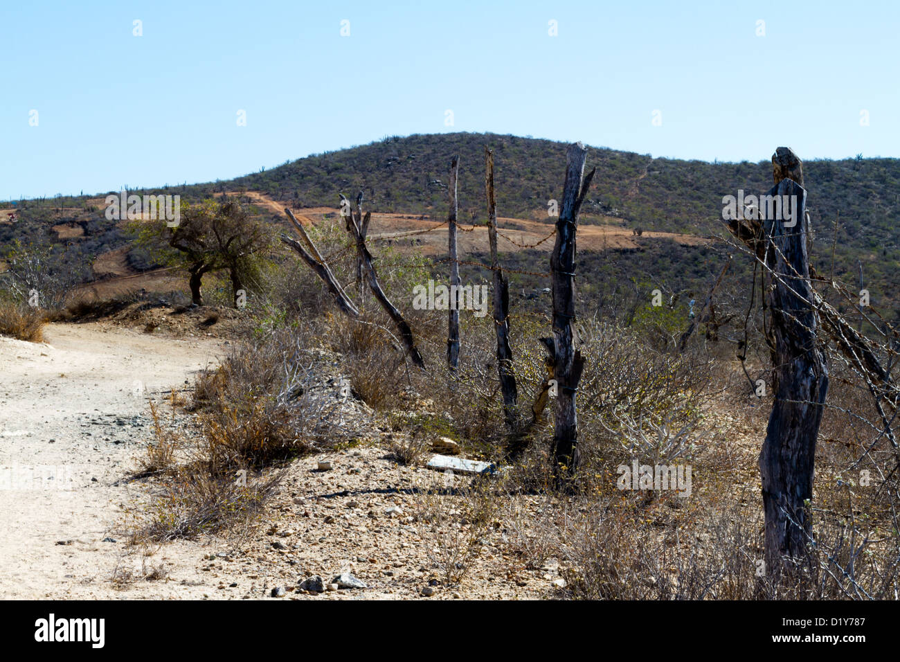 Un rustico di recinzione laterale lungo un percorso tra le colline sopra Todos Santos, Baja, Messico Foto Stock