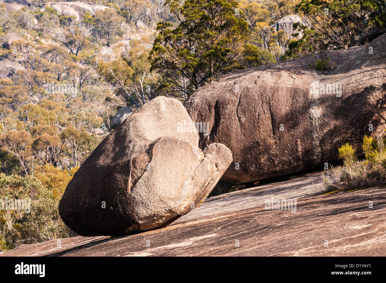 La giunzione, Girraween National Park, Queensland, Australia Foto Stock