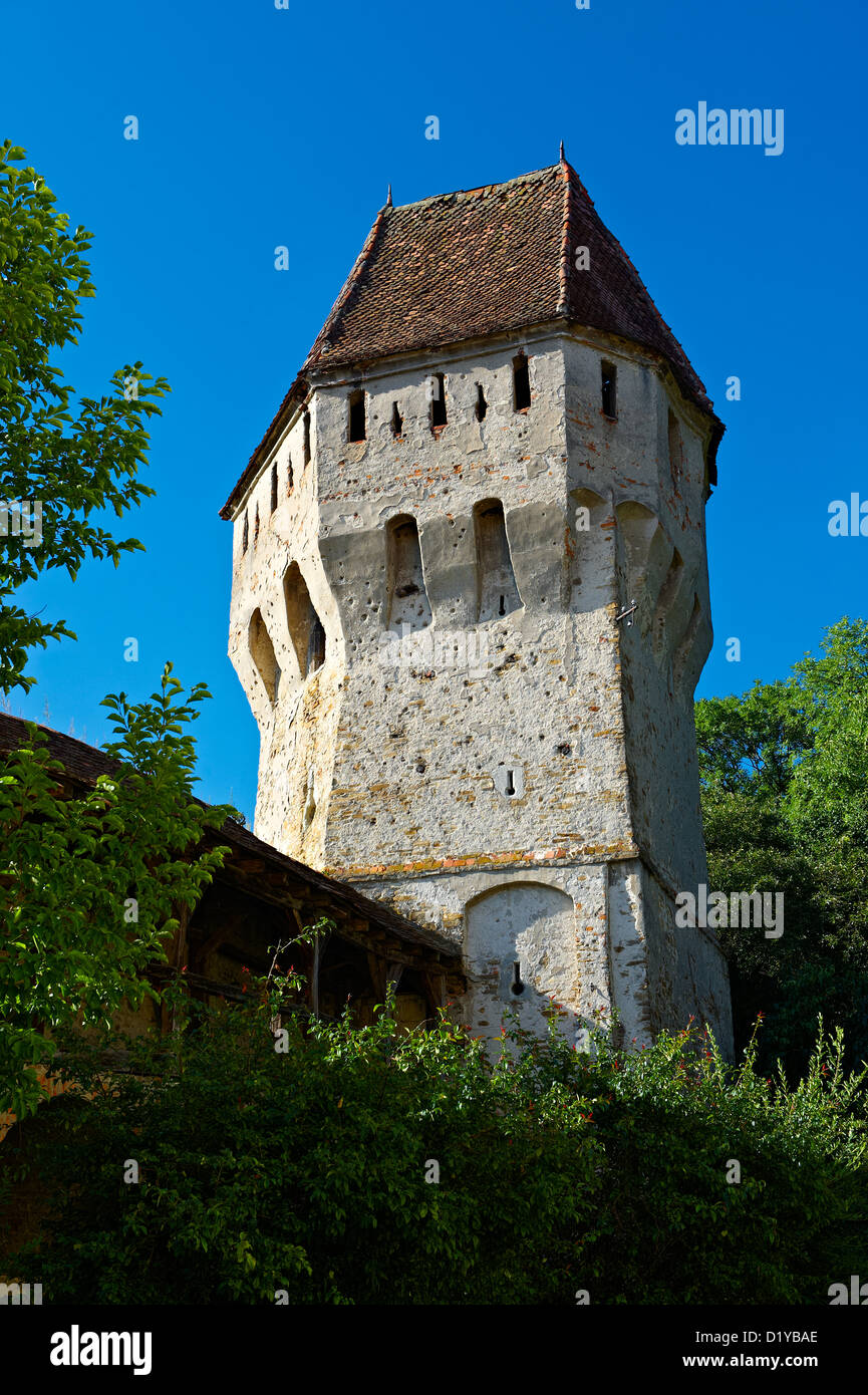 Torre difensiva di Sighisoara sassone medievale fortificata cittadella, Transilvania, Romania Foto Stock