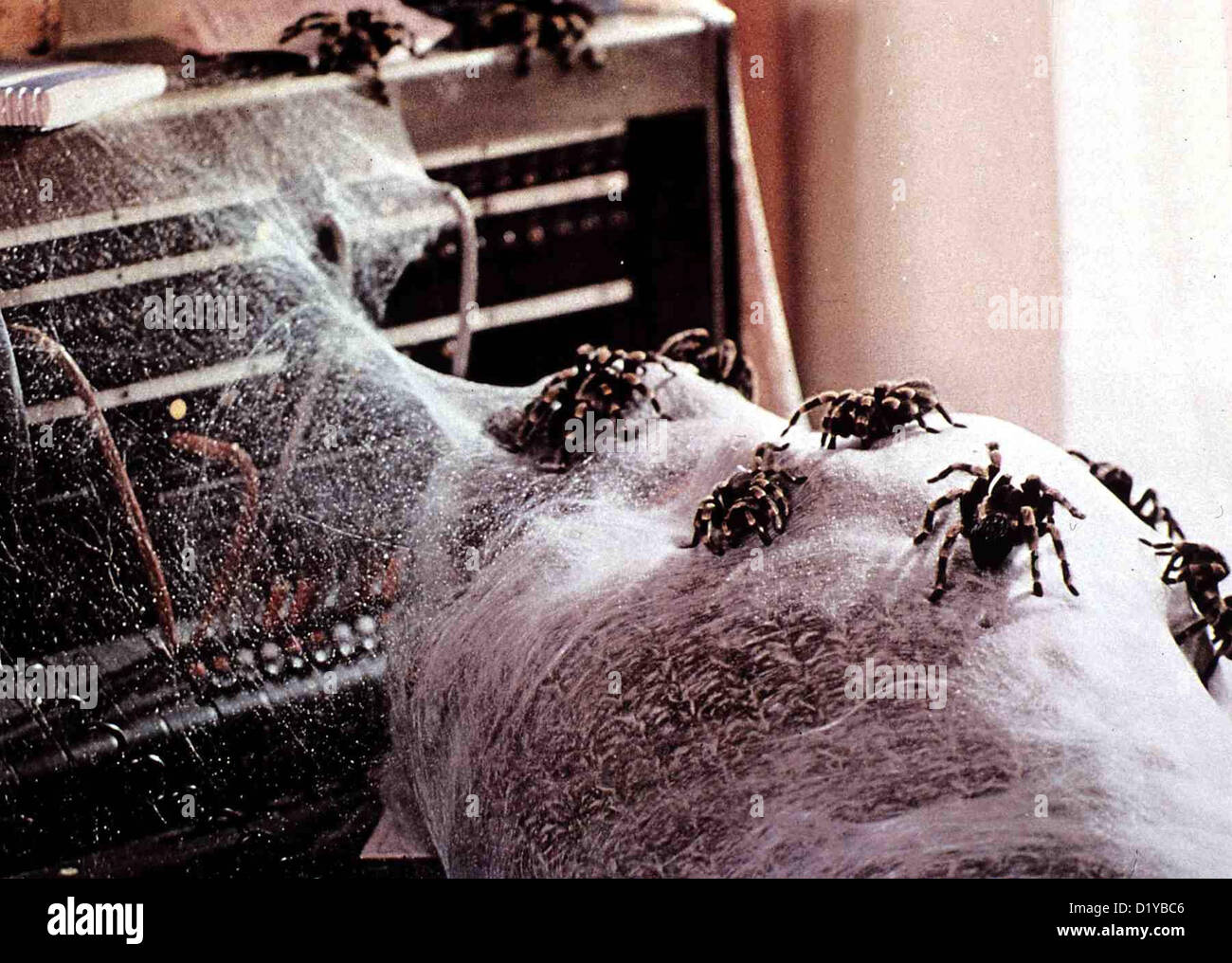 Regno Moerderspinnen ragni Szene Die durch Insektizide mutierten Spinnen werden immer aggressiver und greifen Foto Stock