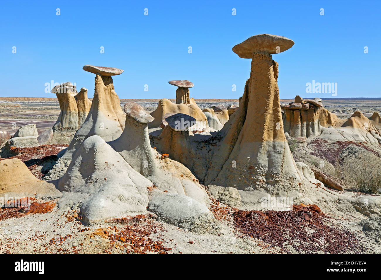 Hoodoos, Ah-shi-sle-pah deserto, San Juan Basin, Nuovo Messico, STATI UNITI D'AMERICA Foto Stock