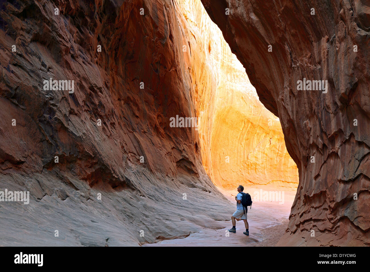 Escursionista in Leprechaun Canyon, bei Hanksville, UT, STATI UNITI D'AMERICA Foto Stock