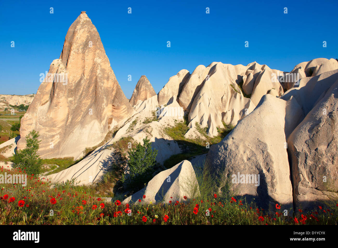 Camini di Fata vicino Gˆreme [ Goreme ] , Cappadocia Turchia Foto Stock