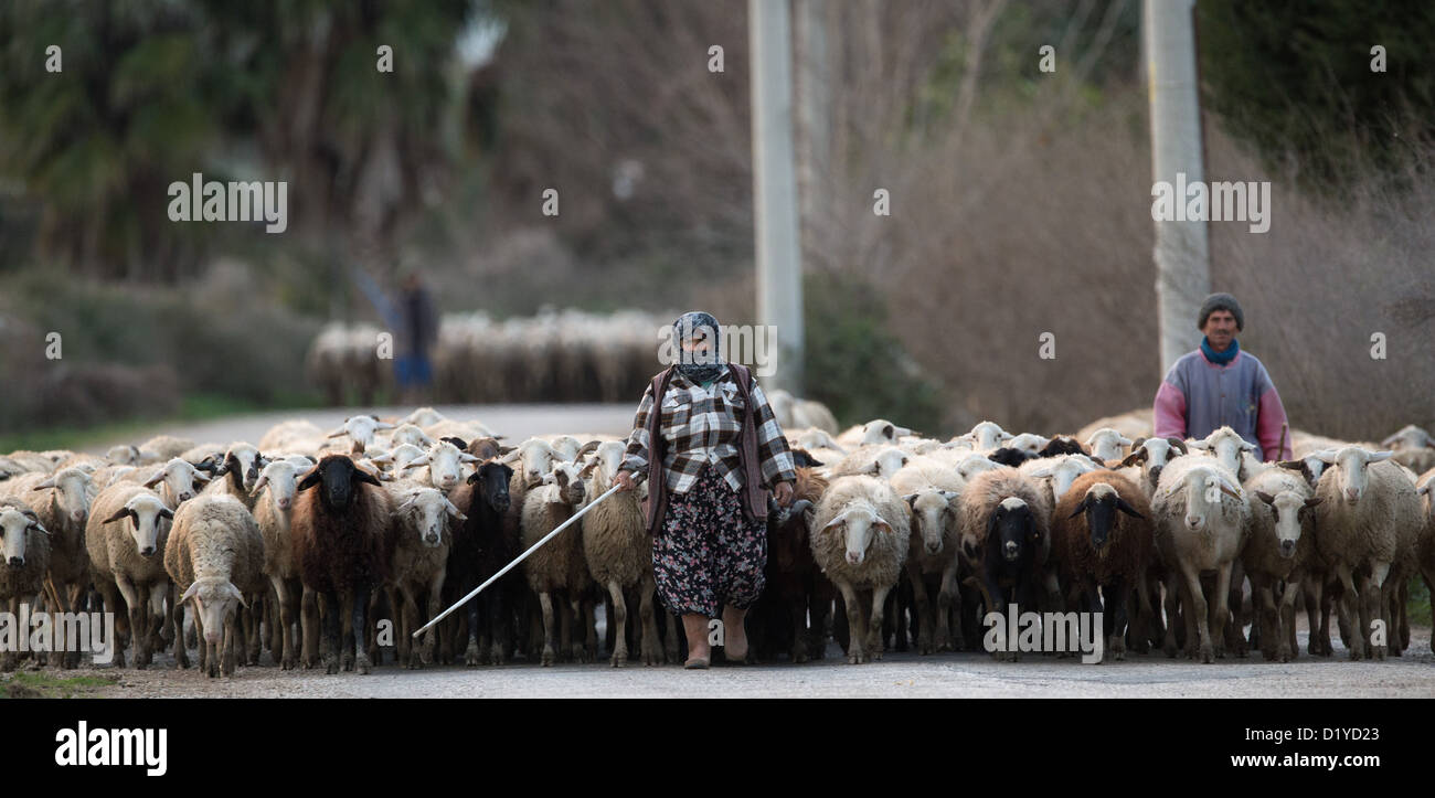 Una donna e il suo allevamento con un bastone nel tardo pomeriggio in Belek, Turchia, 08 gennaio 2013. Ella è caldamente vestito perché la temperatura scende a circa zero dopo il tramonto. Foto: Soeren Stache Foto Stock