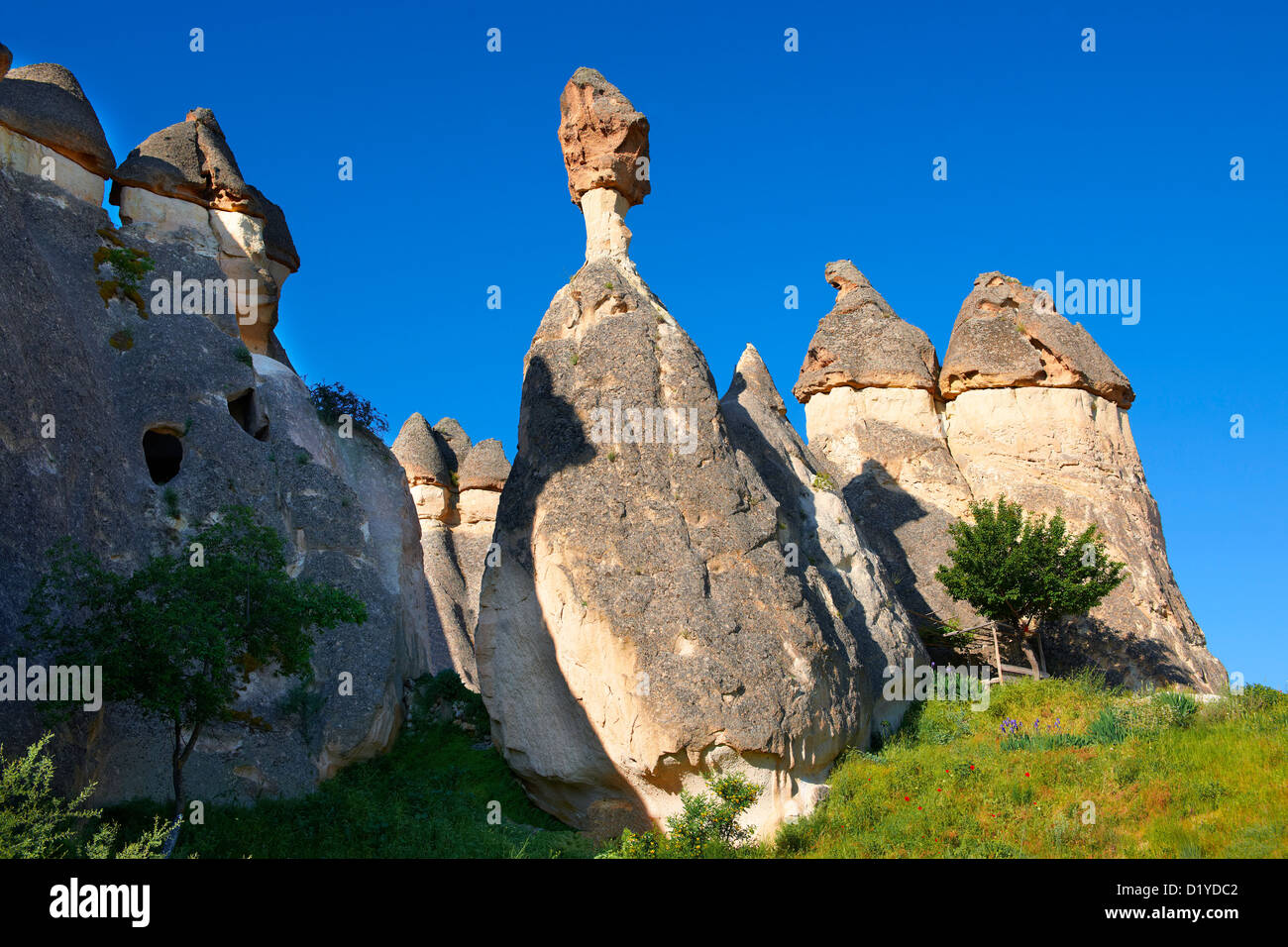 Il camino della fata formazioni rocciose, Zelve , Capadocia Turchia Foto Stock