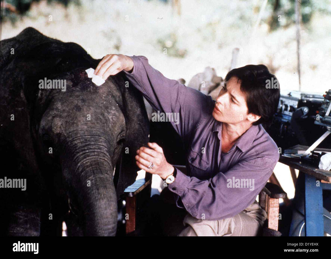 Safari des Todes ultimo elefante, Isabella Rosselini Maria DiConti (Isabella Rosselini) verzweifelt kämpft gegen skrupellose Foto Stock