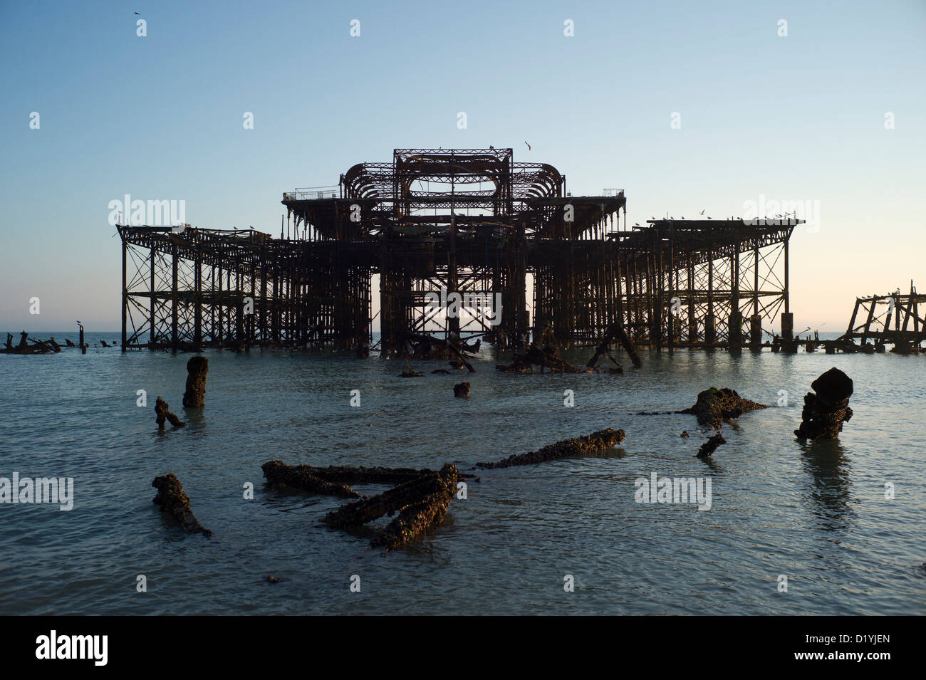 Molo Ovest di Brighton, bassa marea, detriti in primo piano Foto Stock