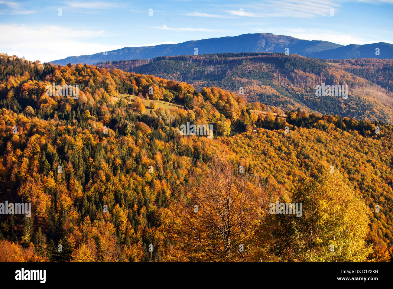 Babia Gora, beskid Zywiecki, Beskidy mountains, Polonia Foto Stock