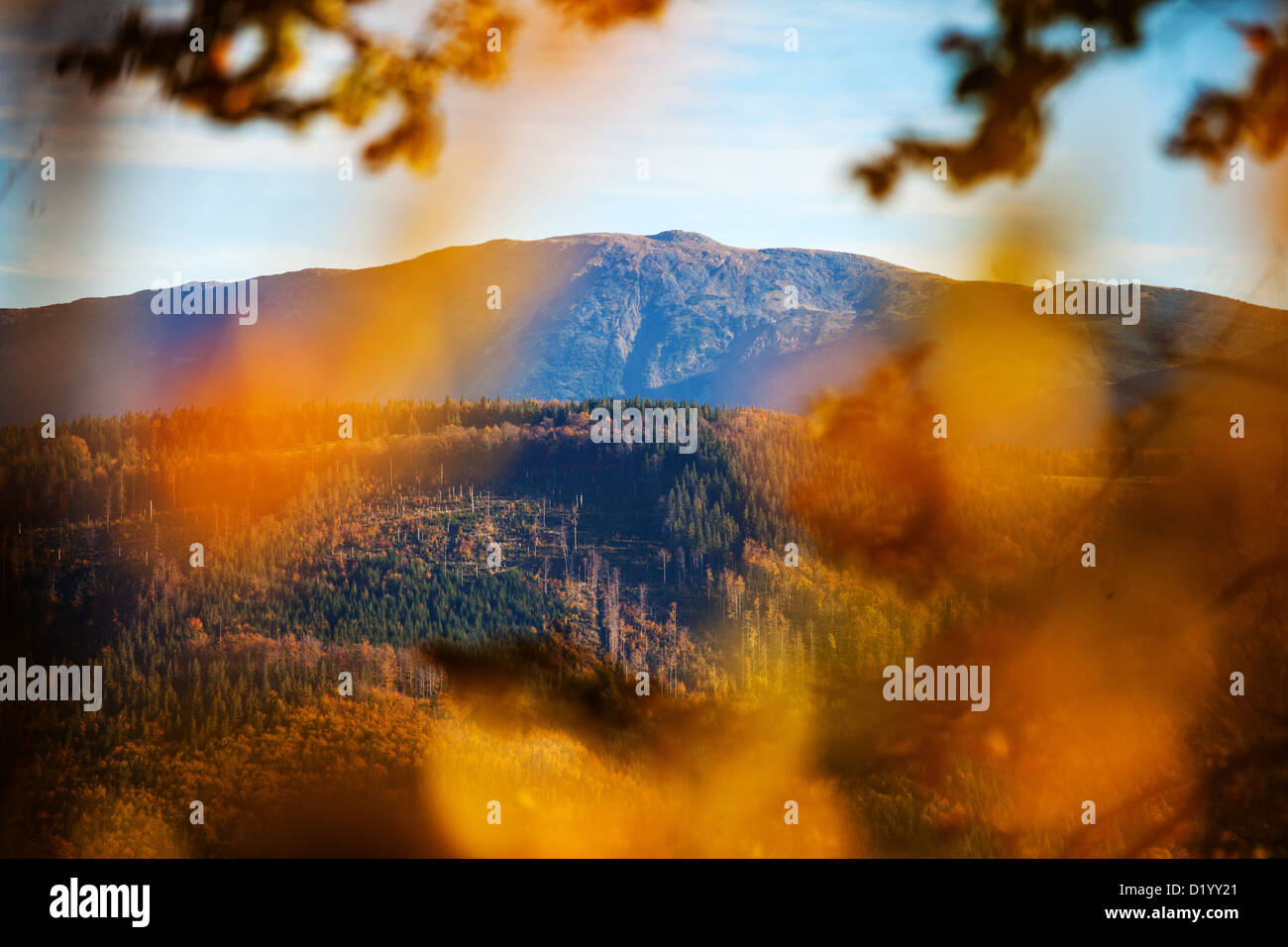 Babia Gora, beskid Zywiecki, Beskidy mountains, Polonia Foto Stock