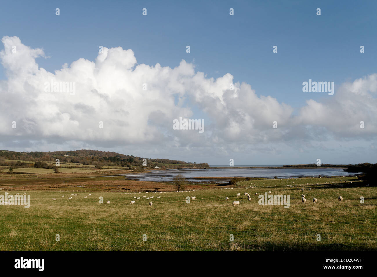 Vista di Traeth Dulas dall'Isola di Anglesey Sentiero costiero Foto Stock